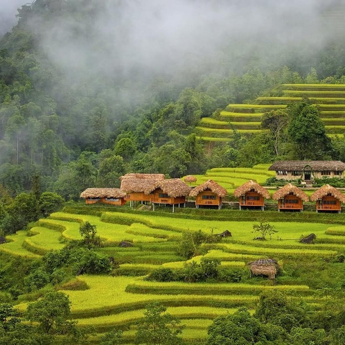 Hoàng Su Phì Lodge là một homestay đẹp ở Hoàng Su Phì nằm giữa cánh đồng lúa