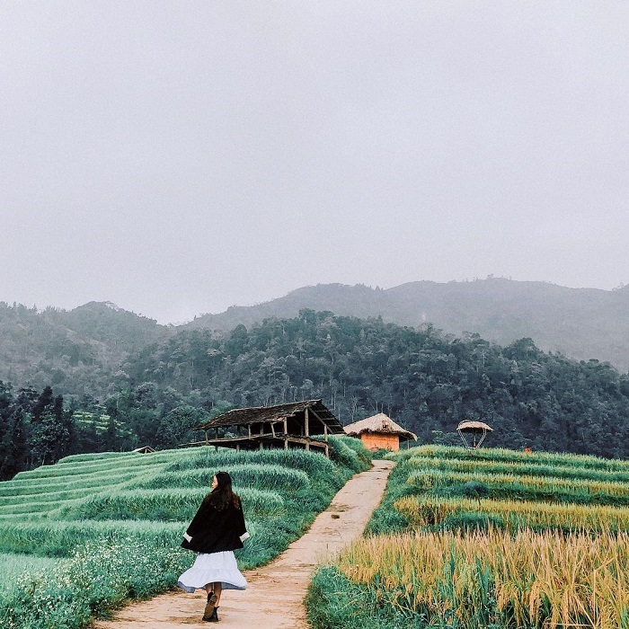 Hoàng Su Phì Lodge là homestay đẹp ở Hoàng Su Phì với nhiều góc sống ảo đẹp