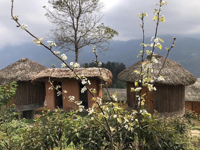 Hồ Thầu Eco Village là homestay đẹp ở Hoàng Su Phì mà bạn nên ghé qua