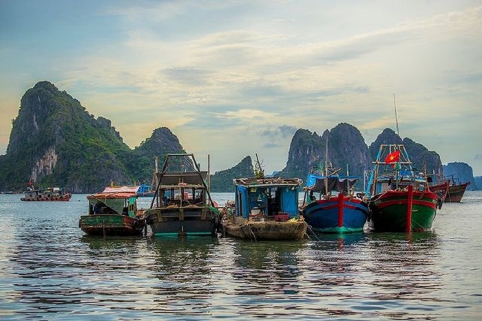 Lý do nên đi du lịch Hạ Long - kinh nghiệm